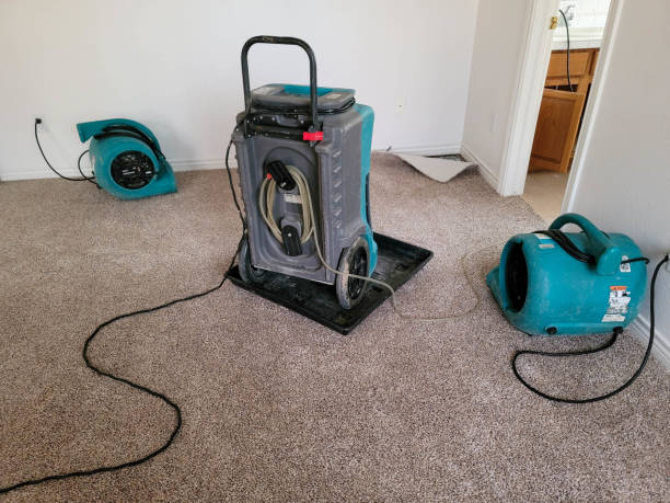 Best Water damage restoration near me  in Barboursville, WV