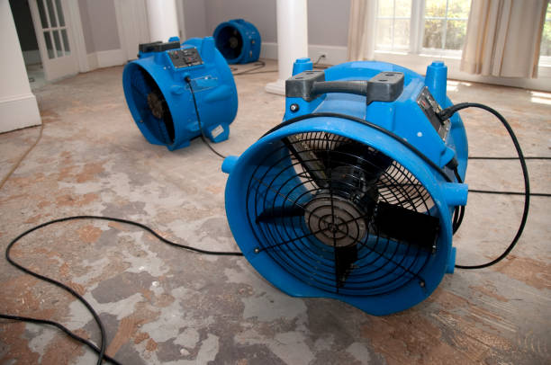 Best Professional water damage repair  in Barboursville, WV