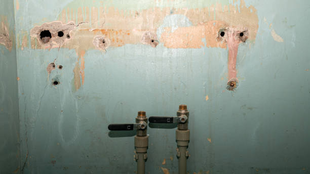 Best Fire Damage Restoration  in Barboursville, WV
