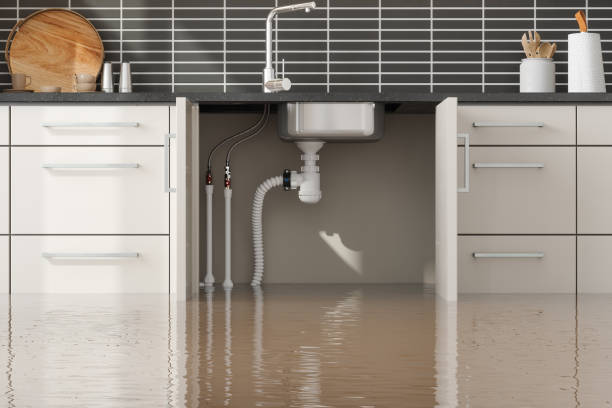 Best Water damage cleanup near me  in Barboursville, WV