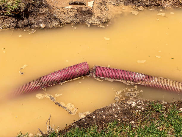 Best Basement water damage restoration  in Barboursville, WV