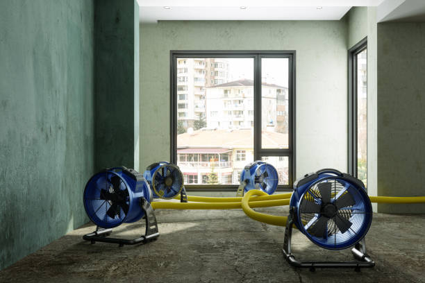 Best Sewage cleanup and water damage restoration  in Barboursville, WV